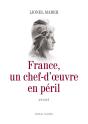 France, Un Modele En Peril - Preview