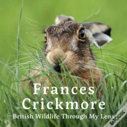 Capa do artigo Frances Crickmore - British Wildlife Through My Lens