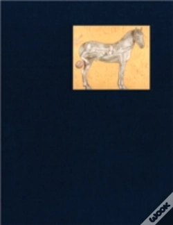 Capa do artigo Francesco Clemente