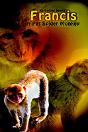 Francis, A Pet Spider Monkey - Preview