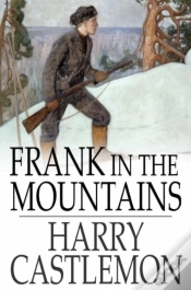 Capa do artigo Frank In The Mountains