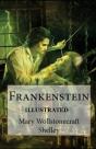Frankenstein Illustrated - Preview