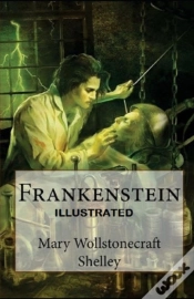 Capa do artigo Frankenstein Illustrated