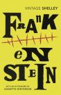 Frankenstein - Preview