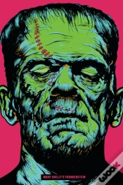 Capa do artigo Frankenstein