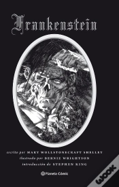 Capa do artigo Frankenstein (Novela Gráfica)