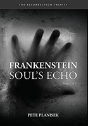 Frankenstein Soul'S Echo - Preview