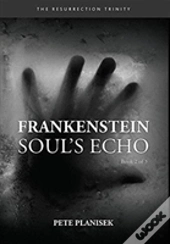 Frankenstein Soul'S Echo