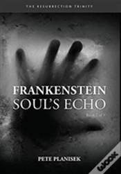 Capa do artigo Frankenstein Soul