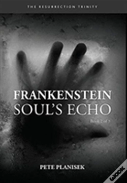 Capa do artigo Frankenstein Soul'S Echo