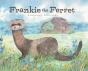 Frankie The Ferret - Preview