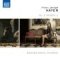 Franz Joseph Haydn: For 2 Hands and 4 - CD - Preview