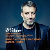 Capa do artigo Franz Schubert: Schwanengesang - CD