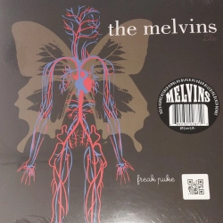 Capa do artigo Freak Puke - Vinil