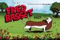 Fred Basset Yearbook 2027 - Preview