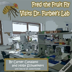 Capa do artigo Fred The Fruit Fly Visits Dr. Furbee'S Lab