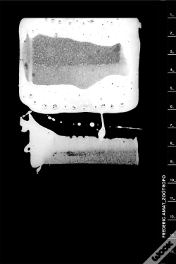 Capa do artigo Frederic Amat Zoótropo