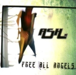 Capa do artigo Free All Angels - Vinil