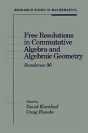 Free Resolutions In Commutative Algebra And Algebraic Geometry - Preview