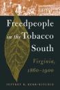 Freedpeople In The Tobacco South - Preview