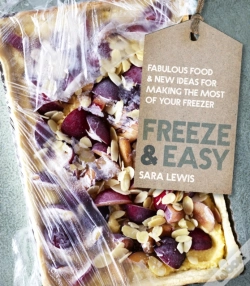 Capa do artigo Freeze & Easy