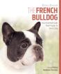 French Bulldog - Preview