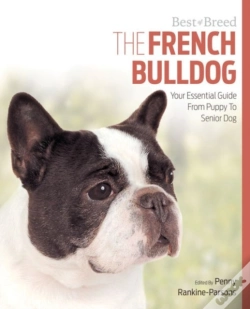 Capa do artigo French Bulldog