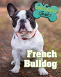 French Bulldog - Preview