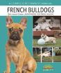 French Bulldogs - Preview