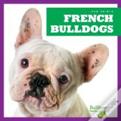 French Bulldogs