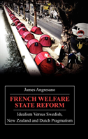 French Welfare State Reform - Preview