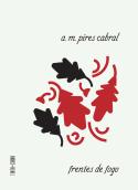 Frentes de Fogo