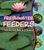 Freshwater Feeders - Preview