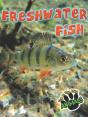 Freshwater Fish - Preview