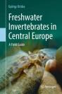 Freshwater Invertebrates In Central Europe - Preview