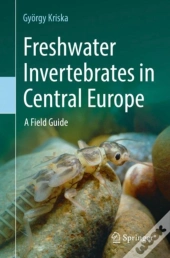 Freshwater Invertebrates In Central Europe