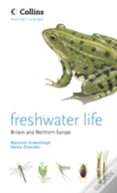 Freshwater Life