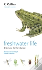 Capa do artigo Freshwater Life