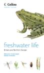 Freshwater Life - Preview
