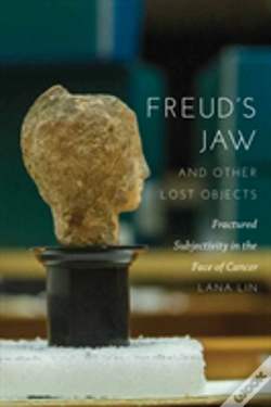 Capa do artigo Freud'S Jaw And Other Lost Objects