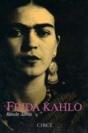Frida Kahlo (Català) - Preview