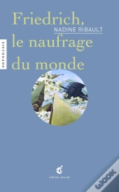 Friedrich, Le Naufrage Du Monde