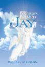 Friend Named Jay - Preview