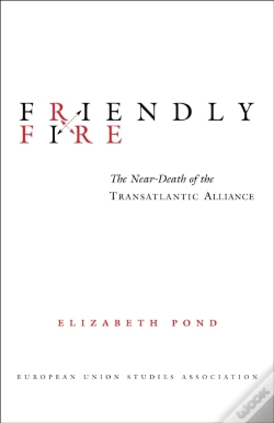 Capa do artigo Friendly Fire