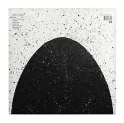 Capa do artigo Friendly Fires - Vinil