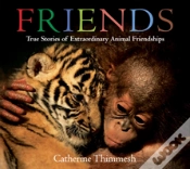 Capa do artigo Friends Board Book