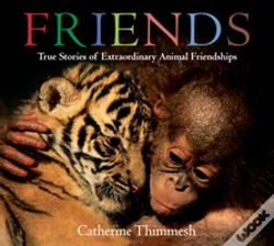 Capa do artigo Friends Board Book