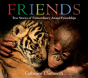 Friends Board Book - Preview