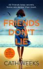 Friends Don'T Lie - Preview