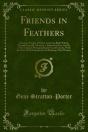 Friends In Feathers - Preview